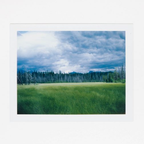 Glacier National Park grassland with Polaroid Land Camera.