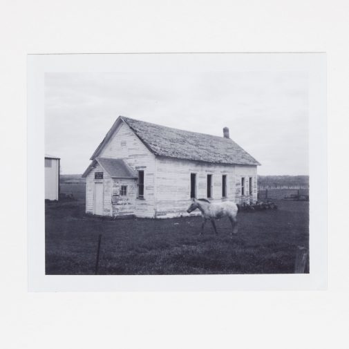 Old school building and horse. Shot on black and white instant film with Polaroid Land Camera.