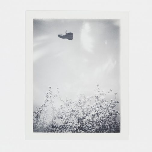 Shoe flying through air. Shot on Fuji FP-3000B with Polaroid Land Camera.