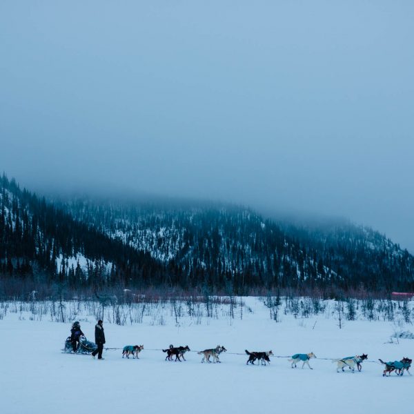 Musher entering Ophir checkpoint.