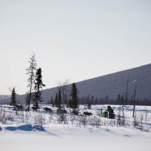 Ryan Redington leaving Iditarod checkpoint.