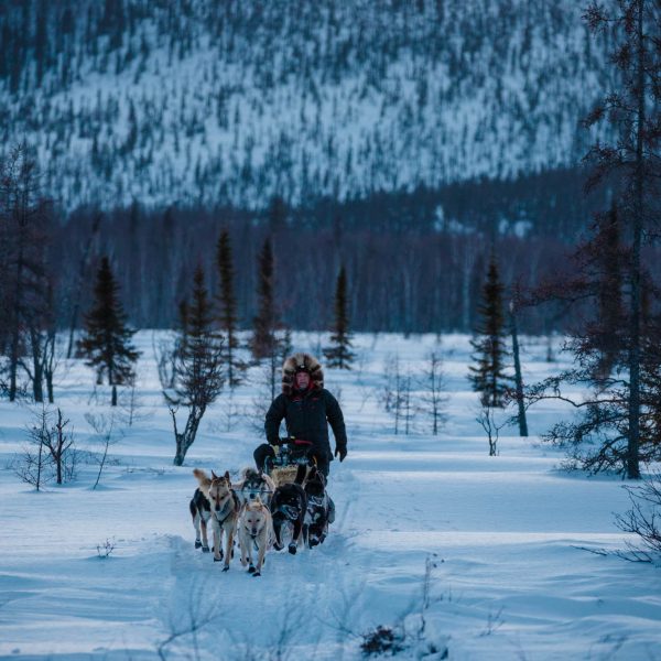 Aaron Burmeister heading out of Iditarod
