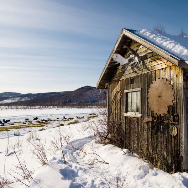 Cabin overlooking resting dogs at Iditarod checkpoint