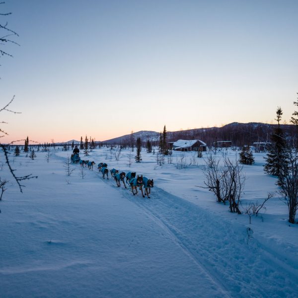 Travis Beals passed the ghost town of Iditarod.