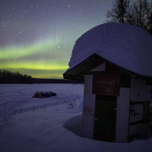 Northern lights shine bright in the distance behind an outhouse.